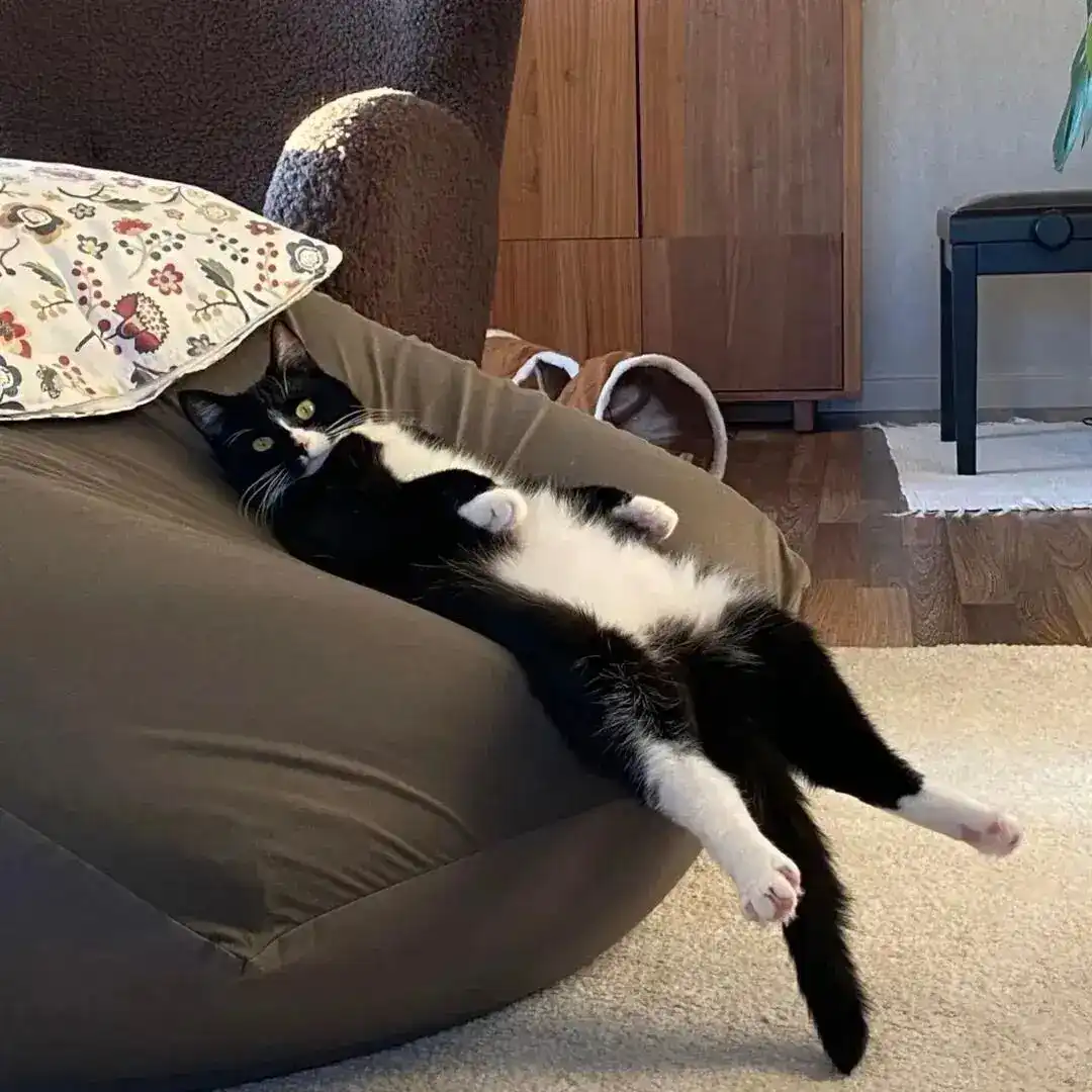 Mia